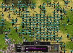 新区开区火爆场面