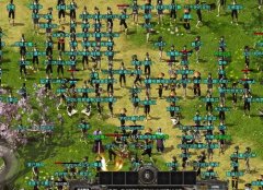 新区开区火爆场面