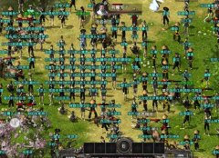 新区开区火爆场面